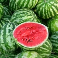 Арбуз Астраханский